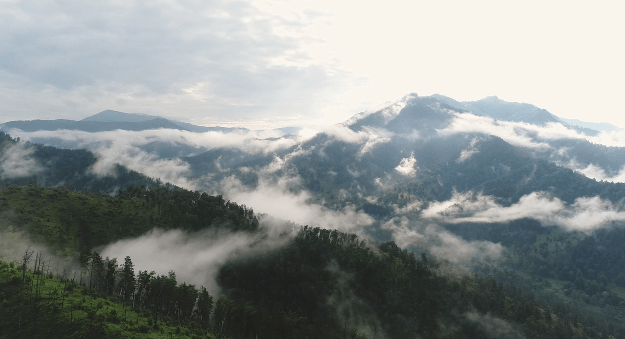 Горы в тумане